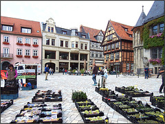 Quedlinburg, Harz 145