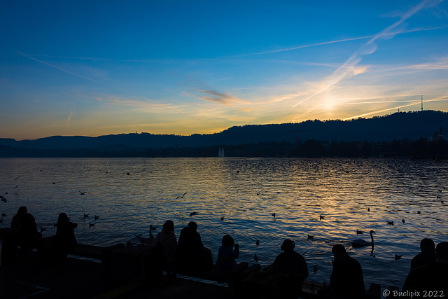 abends am Utoquai Zürich (© Buelipix)