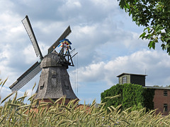 Historische Holländer-Windmühle in Malchow