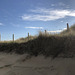 Northsea dunes.