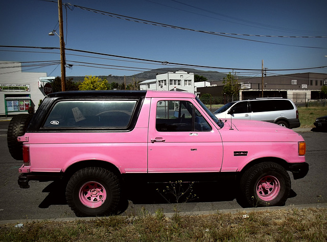 Pink Bronco