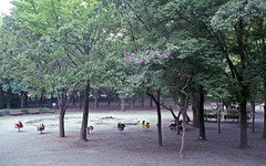 Children's area in a park