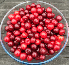 Life may be a bowl of cherries...