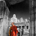 Monje en los templos de Angkor