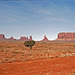 Der Zaun im Monument Valley - Lonely tree