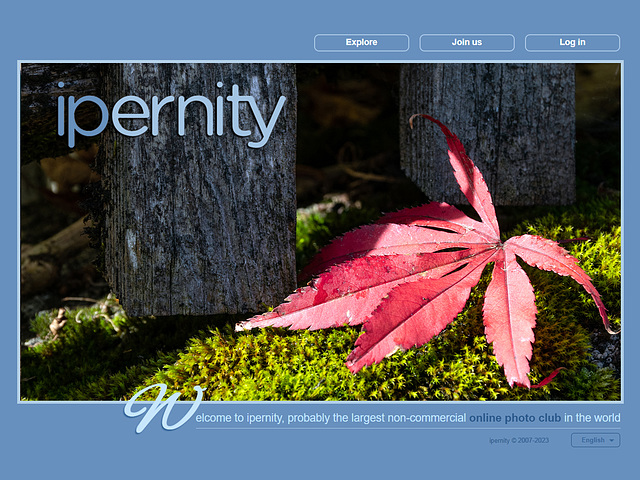 ipernity homepage with #1379