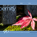 ipernity homepage with #1379