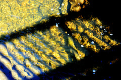 Fence Reflected In A Sun Dappled Stream