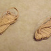 Pair of Sandals in the Metropolitan Museum of Art, January 2013