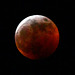 Super bloody big bad wolf moon eclipse