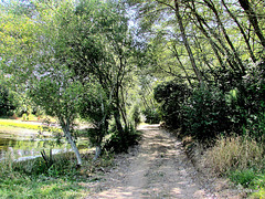 Path at Sandy Bay.