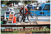 Bikes in a boatyard - Newhaven - 6.7.2015
