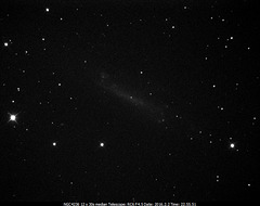 NGC4236 in Draco