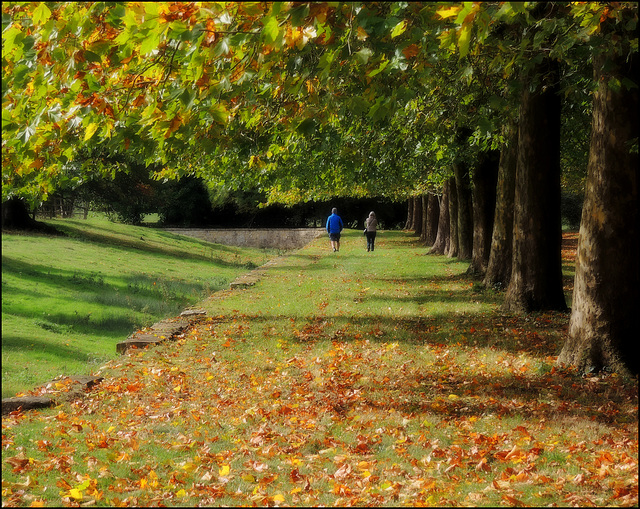 Autumn in Stowe Landscape Gardens