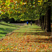 Autumn in Stowe Landscape Gardens