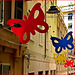 Genova : nei vicoli del centro di Genova tante farfalle colorate portano un poco di allegria !!