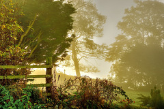 Fog at sunrise, Cumbria