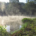 Fog on the pond