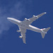 Dubai Air Wing (Royal Flight) Boeing 747-422 A6-HRM DUB1 DXB-STN FL80