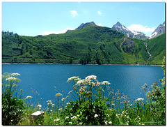 lake Morasco
