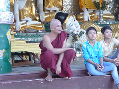 Buddha hat Besuch