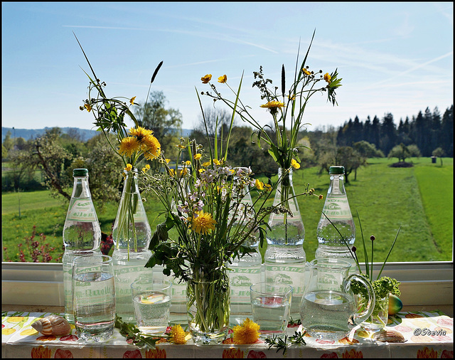 Sagt "Ja" zu Wasser aus Glasflaschen, statt aus Plastikflaschen! Weil es gesünder ist, auch für die Natur! - Informationen siehe Beschreibung zum Bild.
