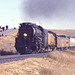 Union Pacific 4014
