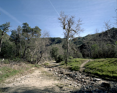 Placerita Canyon Natural Area