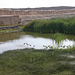 The reservoir inside the walls