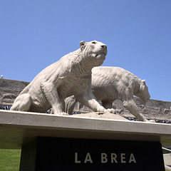 La Brea Lions