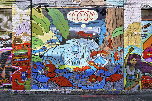 Ant Wars – Clarion Alley, Mission District, San Francisco, California