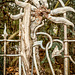 #26 - Gudrun - Art Nouveau fence - 22̊ 3points