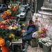 The flower seller ++ Die Blumenverkäuferin