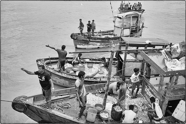 Pêcheurs de Bombay