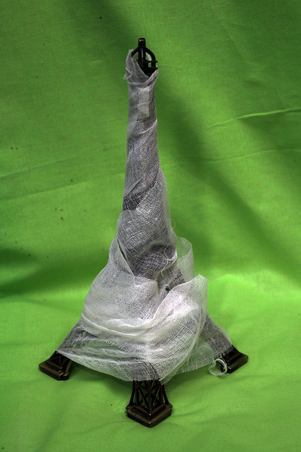 Bien mieux que Christo , j'ai empaqueté la tour Eiffel . J'espère que vous serez emballé par mon oeuvre .