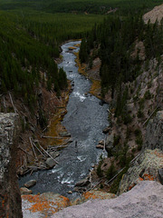 #41 - Rob Stamp - Gibbon River, Yellowstone - 26̊ 1point
