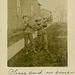 Lee and Lester Shooting Birds Off the Church Steeple, Luthersburg, Pa., 1907