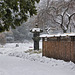 Under Snow – Brooklyn Botanic Garden, New York, New York