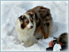 Bon We sous la neige pour certains !!!
