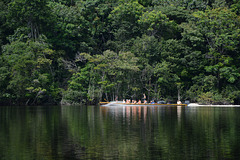 Venezuela, Upstream at High Speed along the River of Carrao