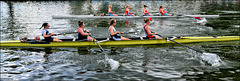 Rowing on the River Thames