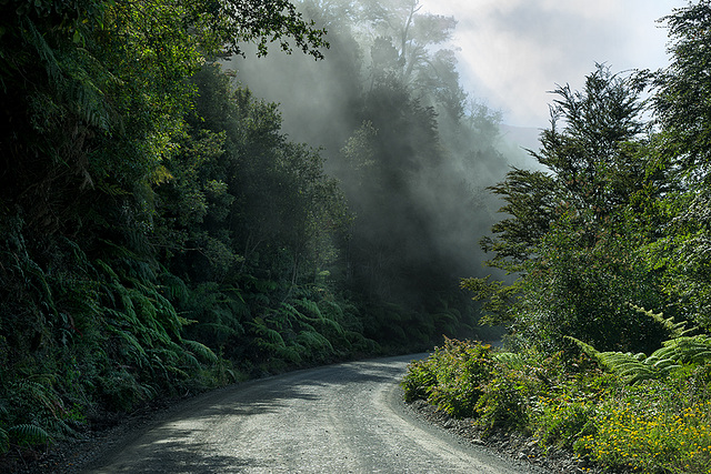 carretera_fog
