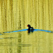 The Coot. The Wake. The Reflection 2
