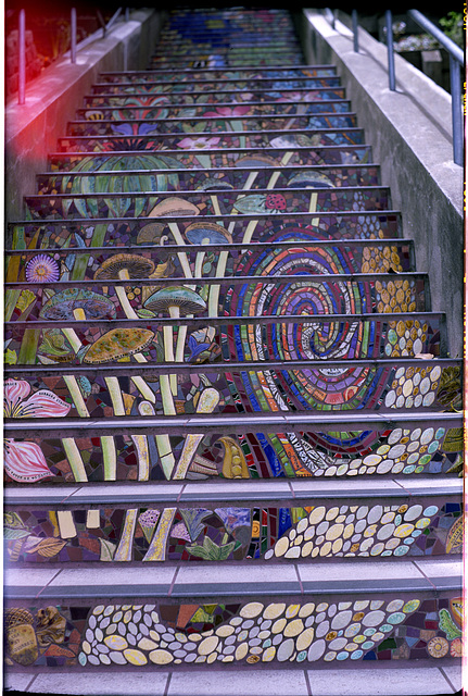 Hidden Garden Stairs, San Francisco