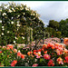 El Retiro rose garden.