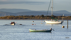 Row row row your boat...Findhorn Bay on a sunny afternoon