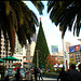 A Christmas shot at San Francisco, CA
