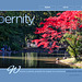 ipernity homepage with #1453
