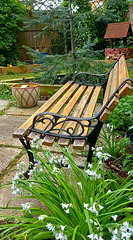Bench in the garden