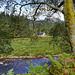 Old School House Cottage over the River Etive, Argyll, Scotland